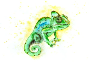 Chamaeleon DSC 1929