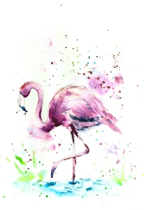 Flamingo DSC 1932