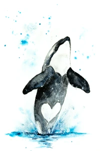 Orca DSC 1928